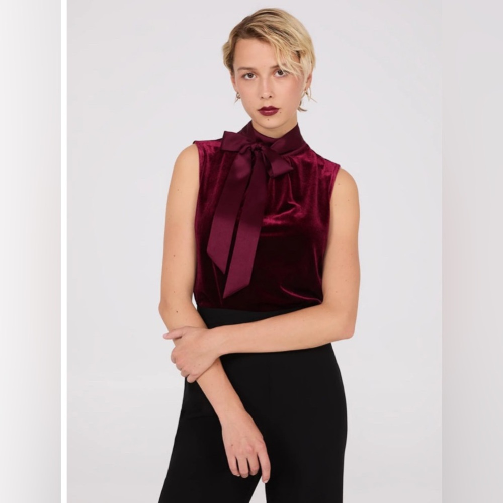 Sleeveless Mock Neck Velvet Top